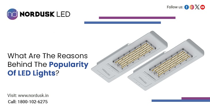 What Are The Reasons Behind The Popularity Of LED Lights?